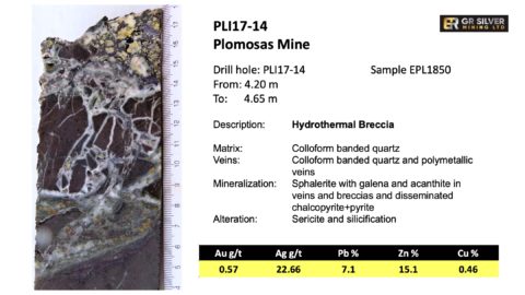PLI17-14 Hydrothermal Breccia