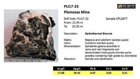PLI17-23 Hydrothermal Breccia