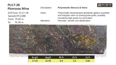 PLI17-28 Polymetallic Breccia & Veins