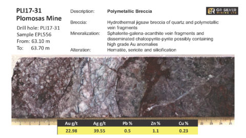 PLI17-31 - Polymetallic Breccia