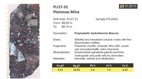 PLI17-31 - Polymetallic Hydrothermal Breccia