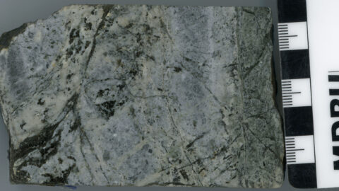 Lower volcanosedimentary unit with pervasive silicification with Chlorite-Sericite alteracion with disseminated pyrite